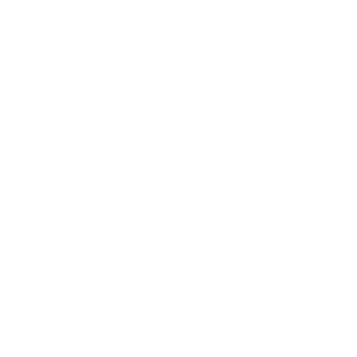 Google Play Icon
